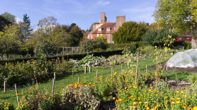 Autumn comes to the Kitchen Garden at Standen
